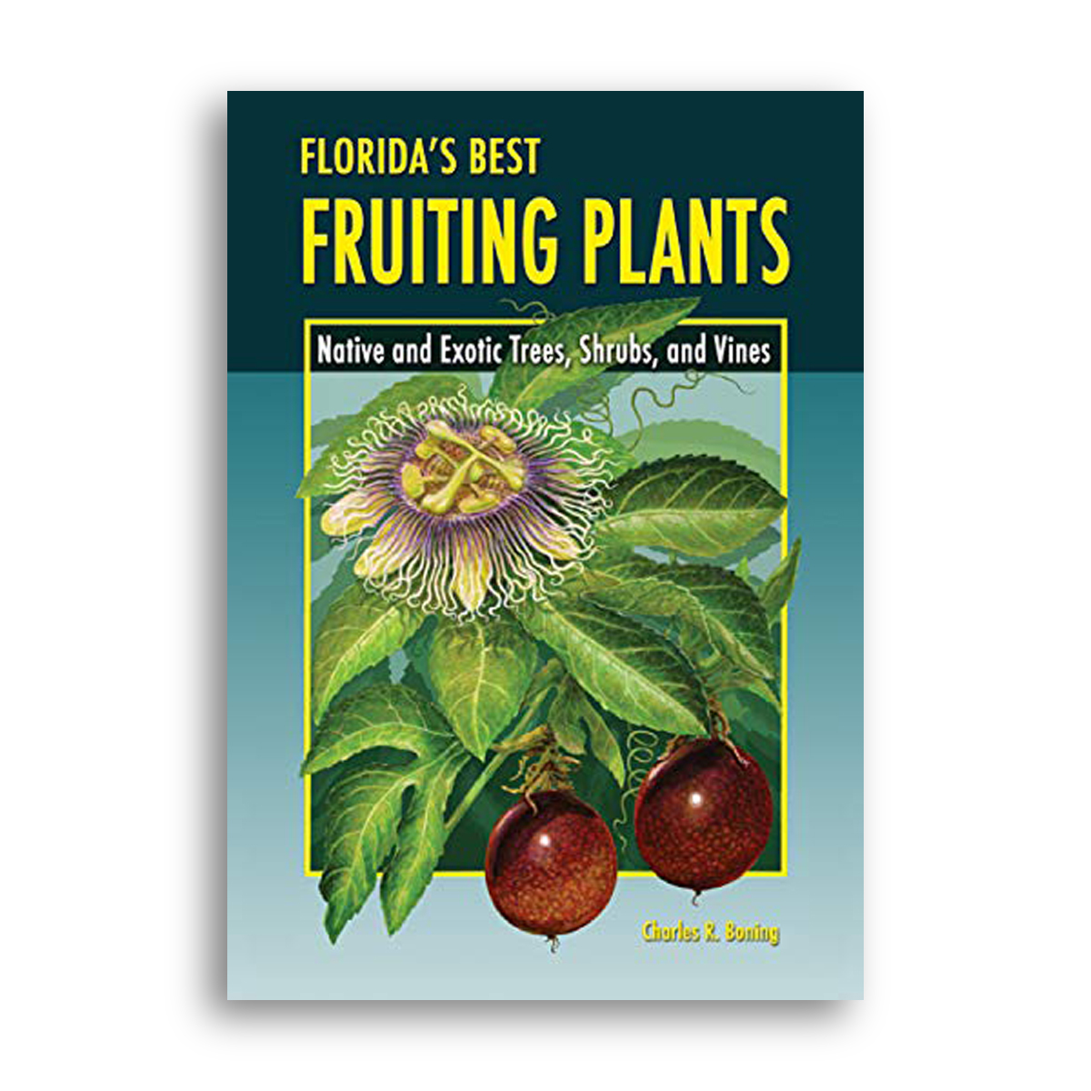 The front cover design of Florida's Best Fruiting Plants: Native and Exotic Trees, Shrubs, and Vines by Charles R. Boning, 1st edition.